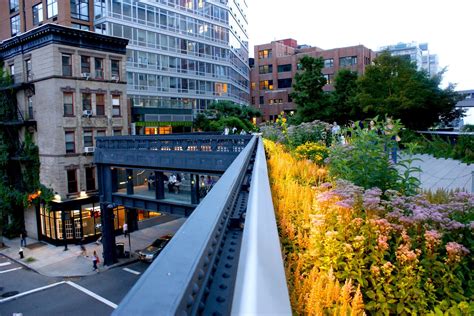 The High Line